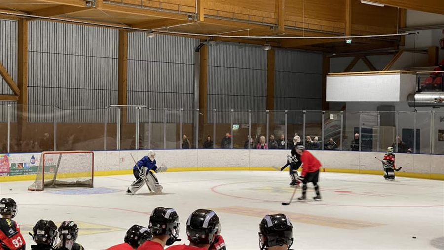 Eishockey